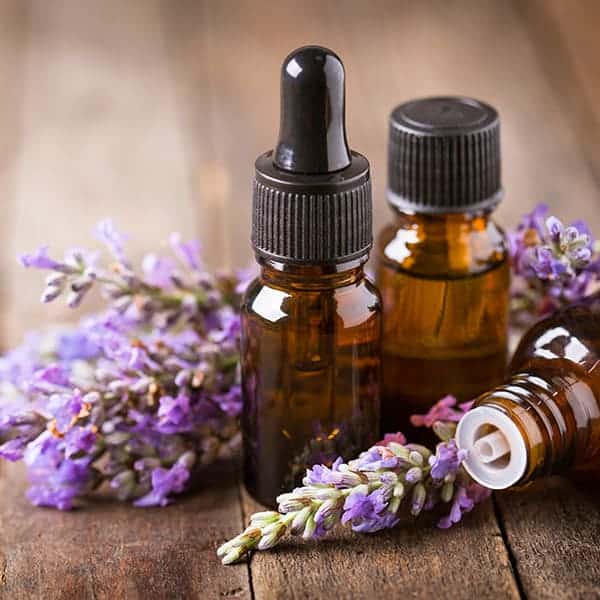 LAVENDER plant and bottles